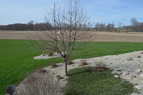 Property photo 54 - REAL ESTATE & PERSONAL PROPERTY AUCTION, 140 Acres offered in 8 Tracts or Combinations in Steuben County